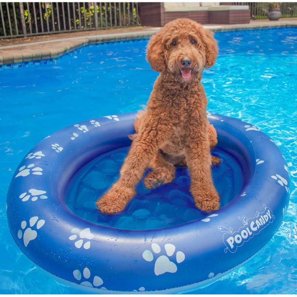 Pool Candy Dog Pool Float and Lounger - Picture 3 of 3